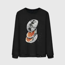 Мужской свитшот хлопок Lunar Fruit #2