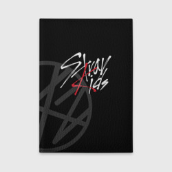 Обложка для автодокументов Stray Kids