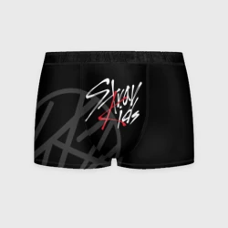 Мужские трусы 3D Stray Kids