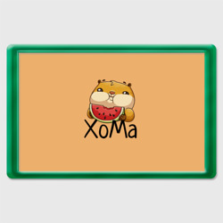 Магнит 45*70 ХоМа