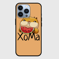 Чехол для iPhone 13 Pro ХоМа