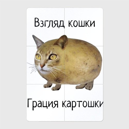 Магнитный плакат 2Х3 Кошка-Картошка