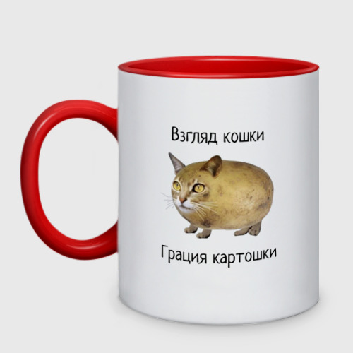 Кошка Картошка Фото