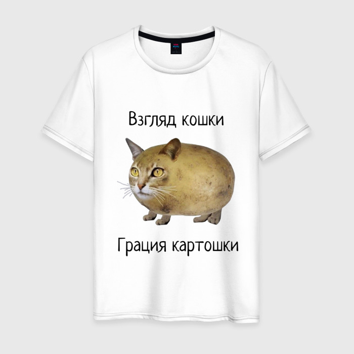 Взгляд Кошки Грация Картошки