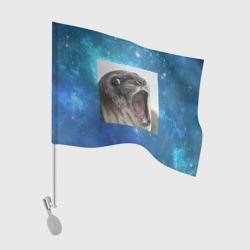 Флаг для автомобиля Тюлень