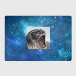 Магнитный плакат 3Х2 Тюлень