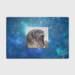 Головоломка Пазл магнитный 126 элементов Тюлень