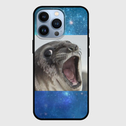 Чехол для iPhone 13 Pro Тюлень