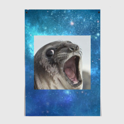 Постер Тюлень