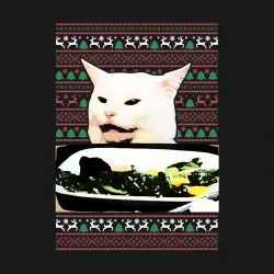 Woman yelling at Cat meme