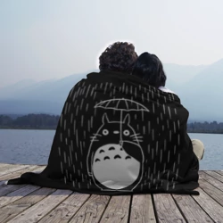 Плед 3D Тоторо прячется от дождя - фото 2