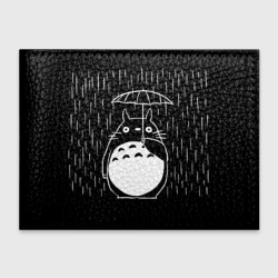 Обложка для студенческого билета Тоторо прячется от дождя