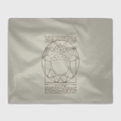 Плед 3D Мой сосед Тоторо