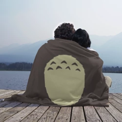 Плед 3D Животик Тоторо - фото 2