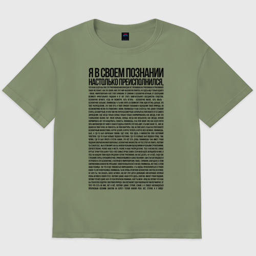 Мужская футболка хлопок Oversize «Идущий к реке»