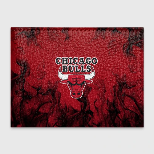 Обложка для студенческого билета Chicago bulls Чикаго буллс