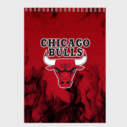 Скетчбук Chicago bulls Чикаго буллс