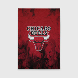 Обложка для автодокументов Chicago bulls Чикаго буллс