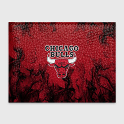 Обложка для студенческого билета Chicago bulls Чикаго буллс