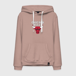 Мужская толстовка хлопок Chicago bulls