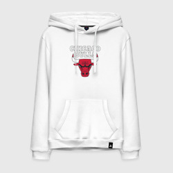 Мужская толстовка хлопок Chicago bulls