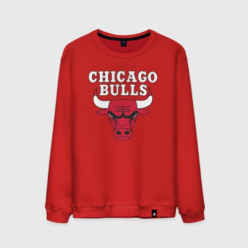 Мужской свитшот хлопок Chicago bulls