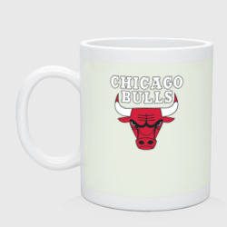 Кружка керамическая Chicago bulls
