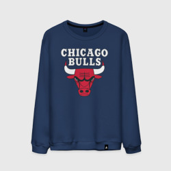 Мужской свитшот хлопок Chicago bulls