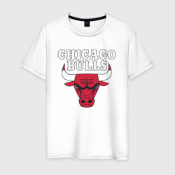 Мужская футболка хлопок Chicago bulls