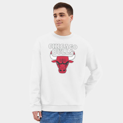 Мужской свитшот oversize без начеса хлопок Chicago bulls - фото 2