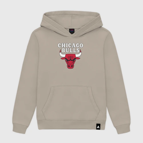 Мужская толстовка хлопок Chicago bulls