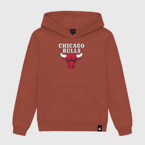 Мужская толстовка хлопок Chicago bulls