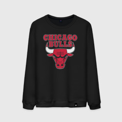 Мужской свитшот хлопок Chicago bulls Чикаго буллс