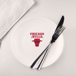 Тарелка Chicago bulls Чикаго буллс