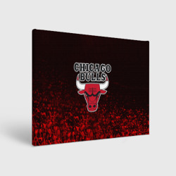 Холст прямоугольный Chicago bulls Чикаго буллс