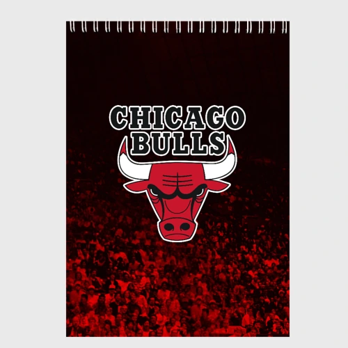 Скетчбук Chicago bulls Чикаго буллс