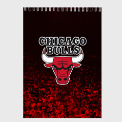 Скетчбук Chicago bulls Чикаго буллс