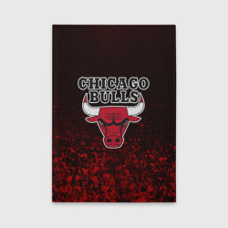 Обложка для автодокументов Chicago bulls Чикаго буллс