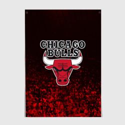 Постер Chicago bulls Чикаго буллс