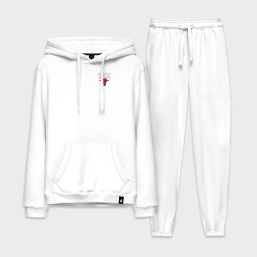 Мужской костюм хлопок с толстовкой Chicago bulls