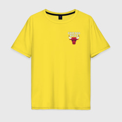 Мужская футболка хлопок Oversize Chicago bulls