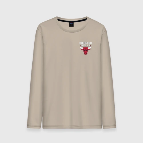 Мужской лонгслив хлопок Chicago bulls