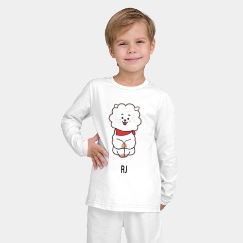 BTS BT21 RJ K pop gb2004247