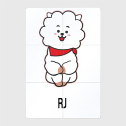 Магнитный плакат 2Х3 BTS BT21 RJ