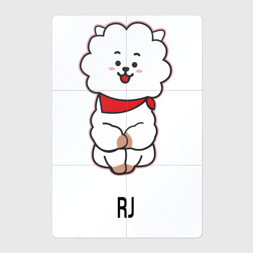 Магнитный плакат 2Х3 BTS BT21 RJ