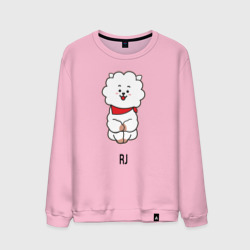 Мужской свитшот хлопок BTS BT21 RJ