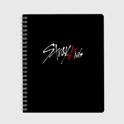 Тетрадь Stray kids