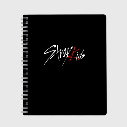 Тетрадь Stray kids