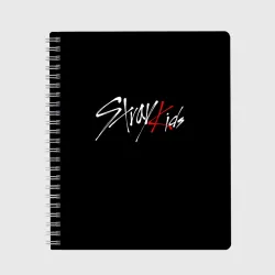 Тетрадь Stray kids