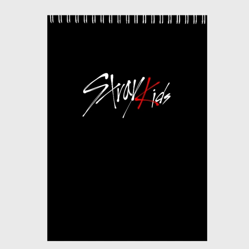 Скетчбук Stray kids